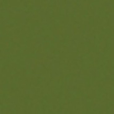 5796 Algae
