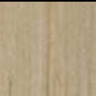 9906 Danish Maple (D)